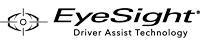 EyeSight Badge